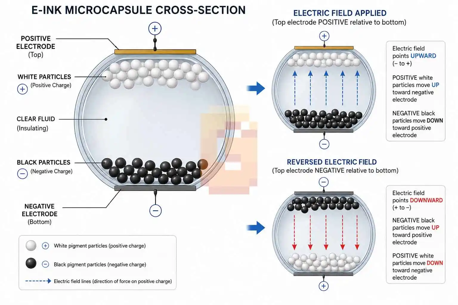 Diagram showing how charged pigment particles move inside an e-ink microcapsule